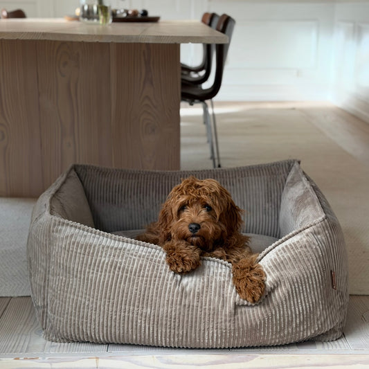 Carl hundekurven / lys brun bred fløjl