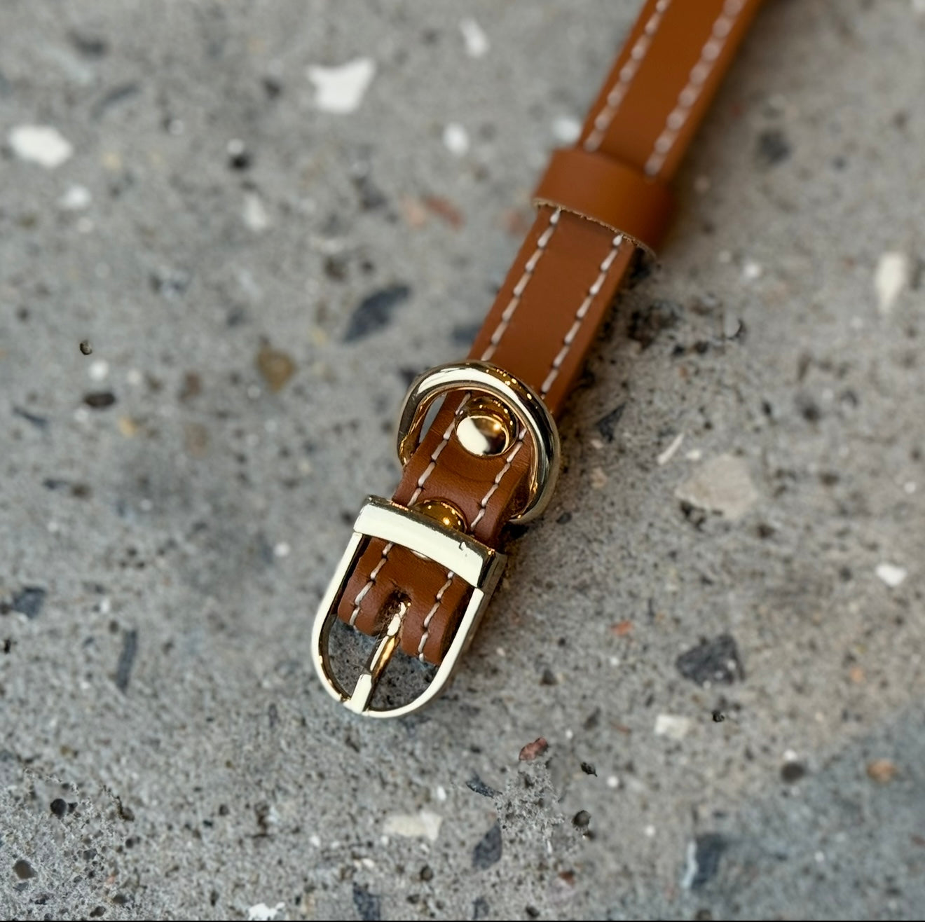 Hundehalsbånd / cognac læder