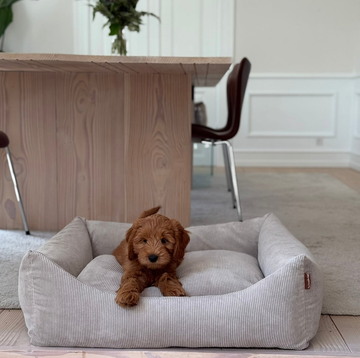 Bjørk hundekurven i beige - smal fløjl