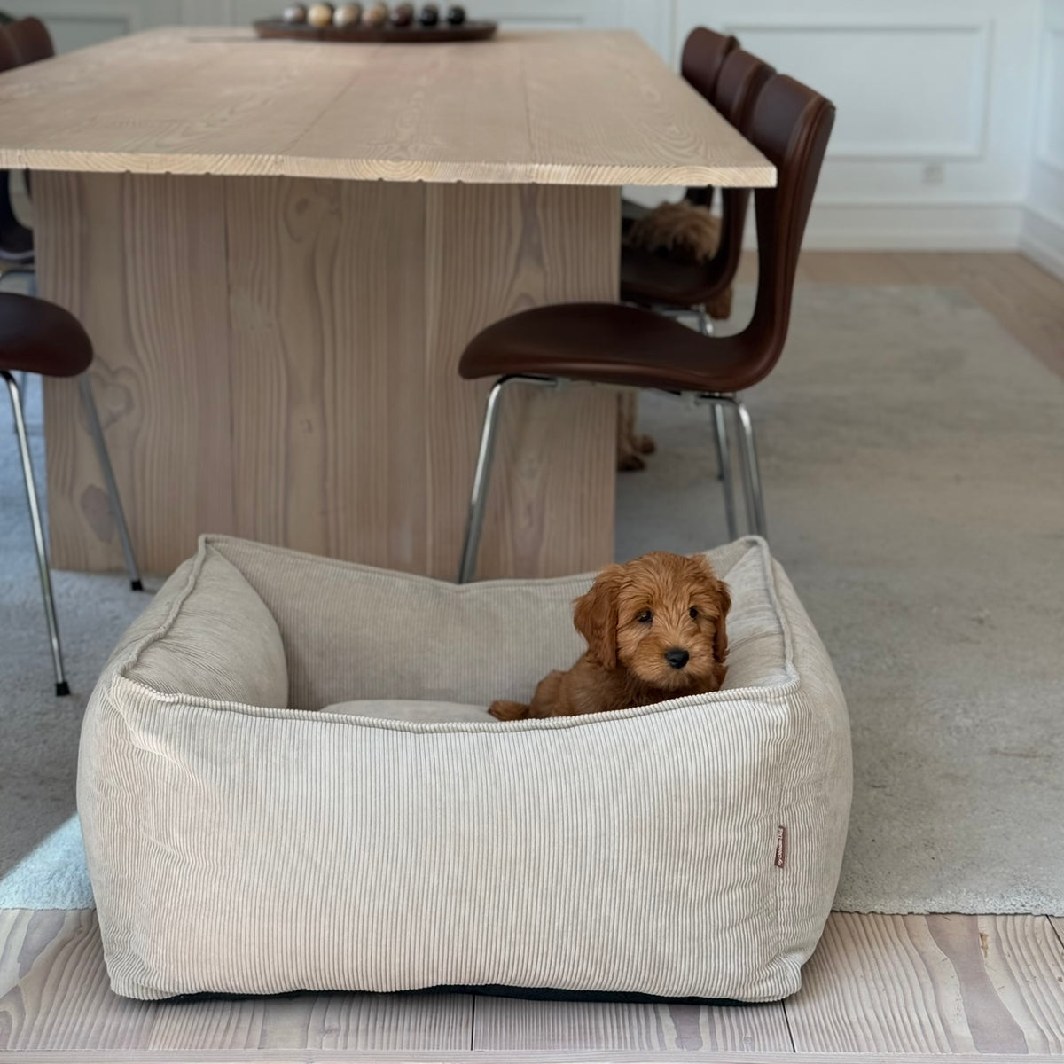 Carl hundekurven i beige - smal fløjl