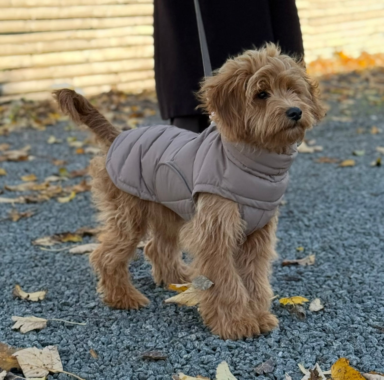 BY DOODLE DOGS EVA HUNDEJAKKE VINTER / Brun – By Doodle Dog