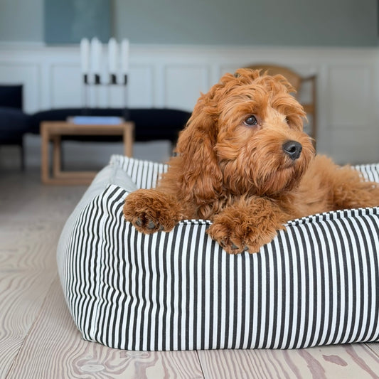 Anna hundekurv - Sort/Creme Stribet