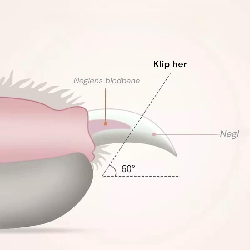 Negleklipper m. LED lys