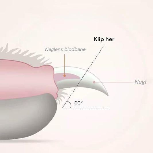 Negleklipper m. LED lys
