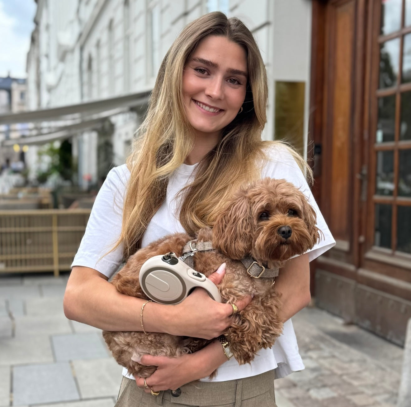 Automatisk hundesnor / beige