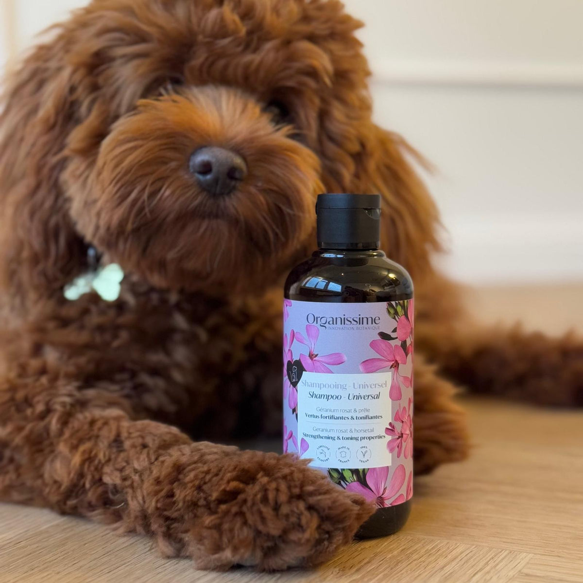 Hundeshampoo / organissme økologisk