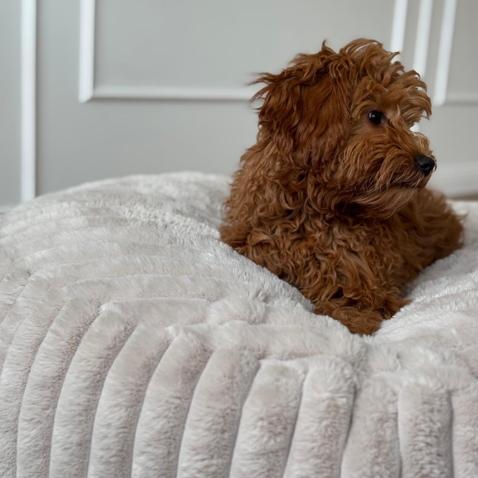 Maude hundekurven / beige