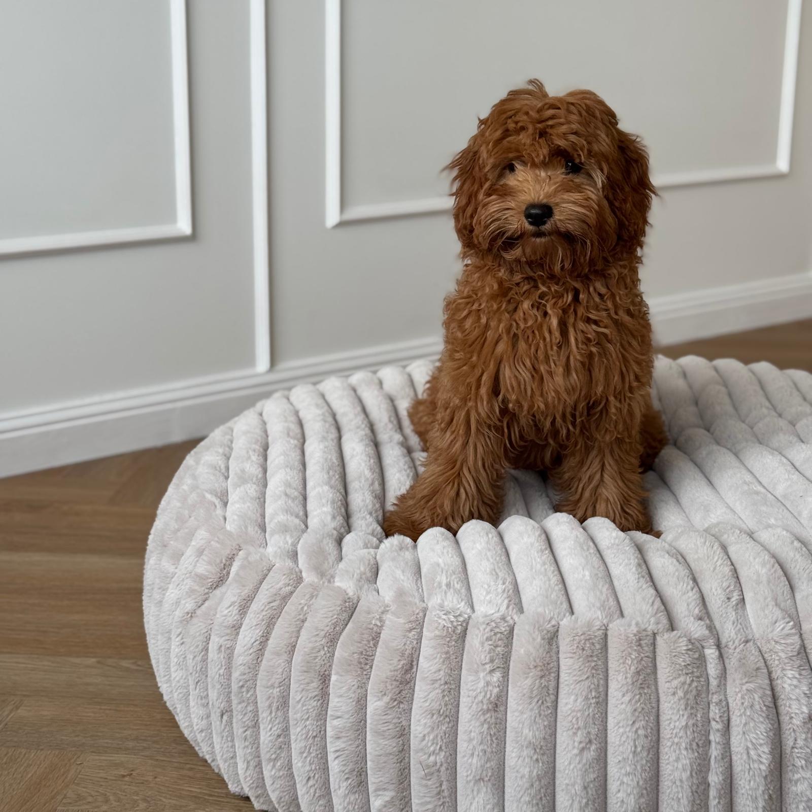 Maude hundekurven / beige