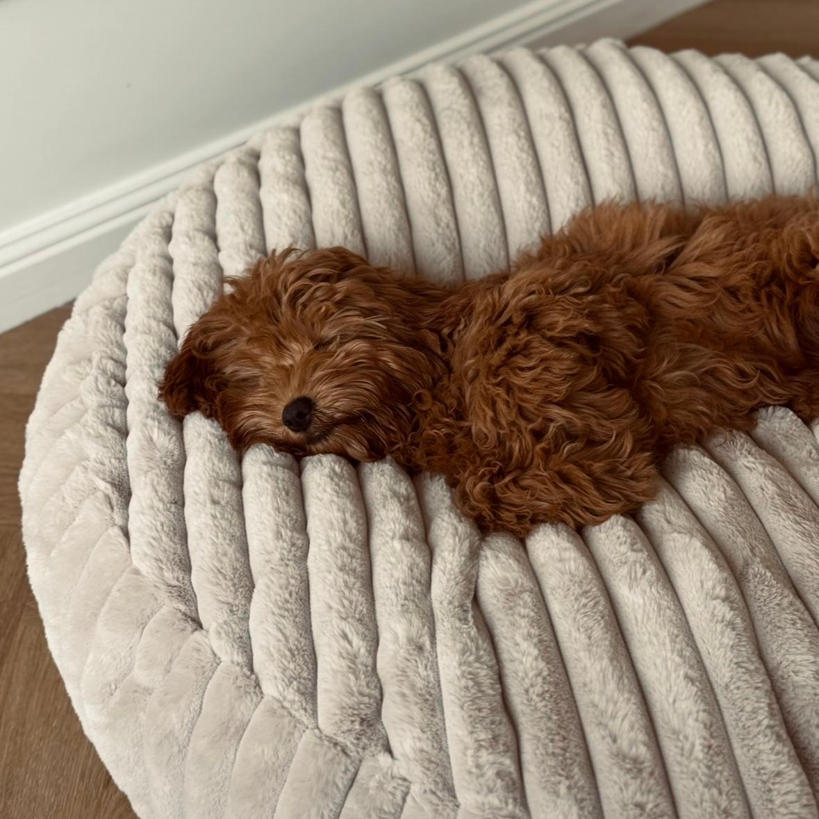 Maude hundekurven / beige