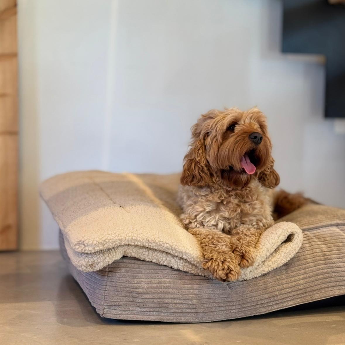 Frede hundekurven / Beige