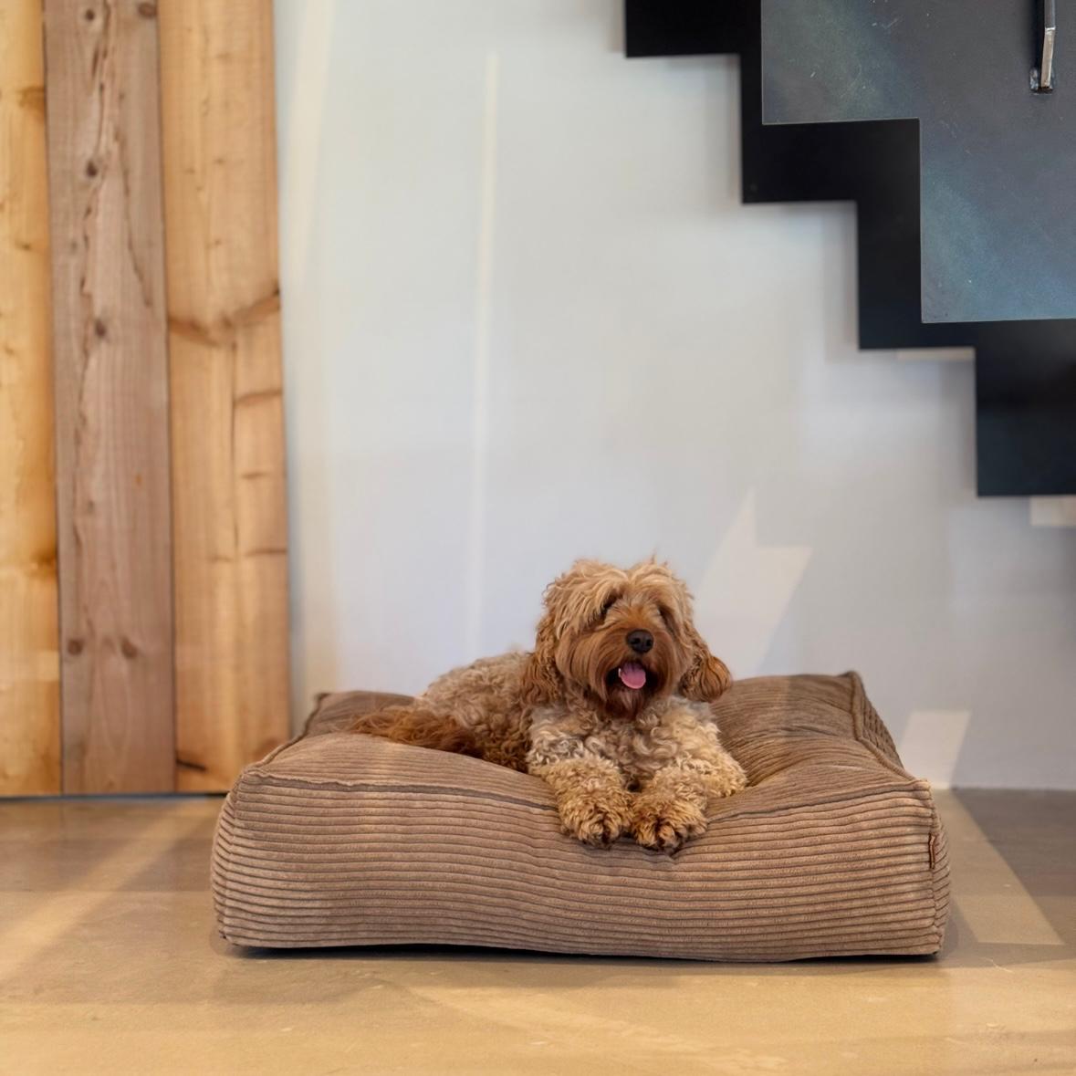 Frede hundekurven / Lys brun