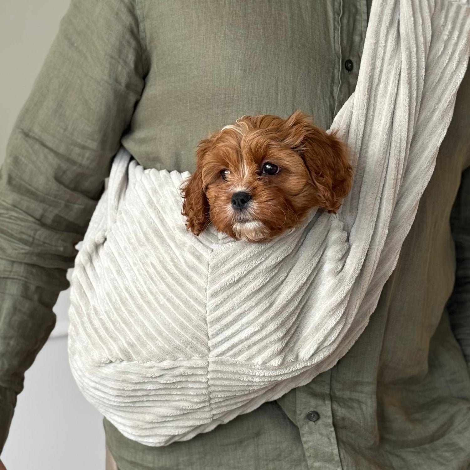 Hundetaske