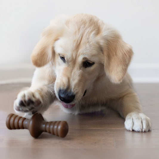 Benebone Peanut