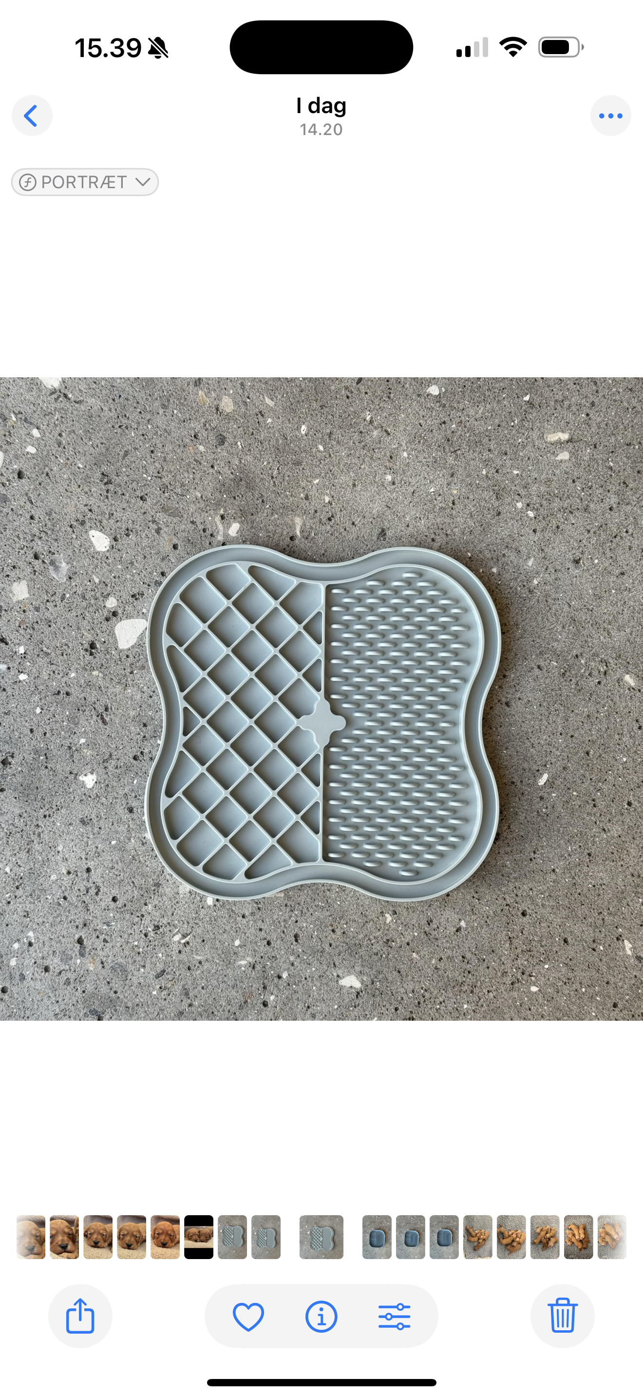 Hunde aktivitetsmåtte