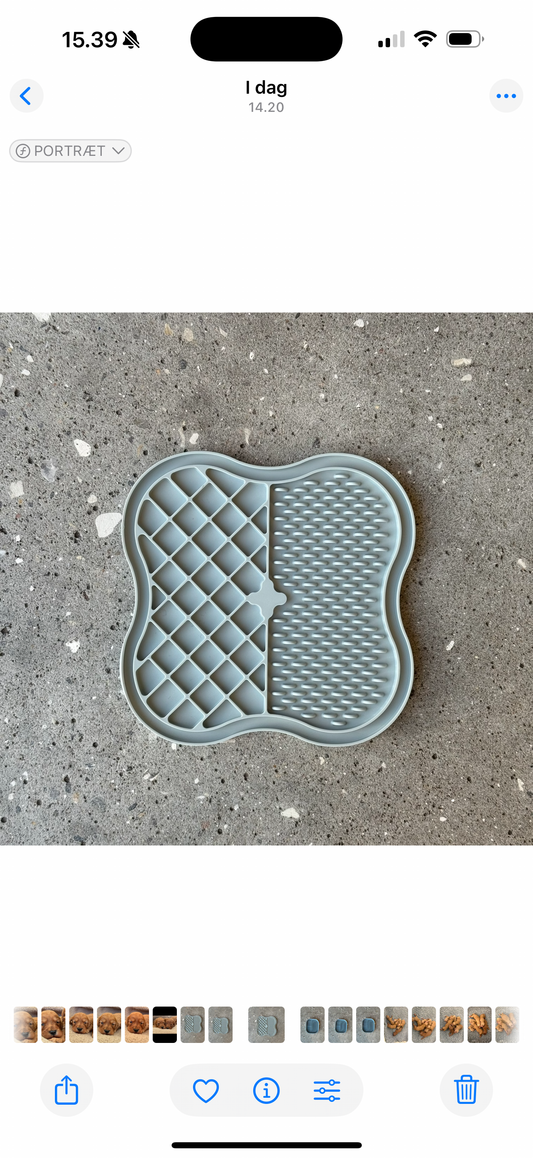 Hunde aktivitetsmåtte