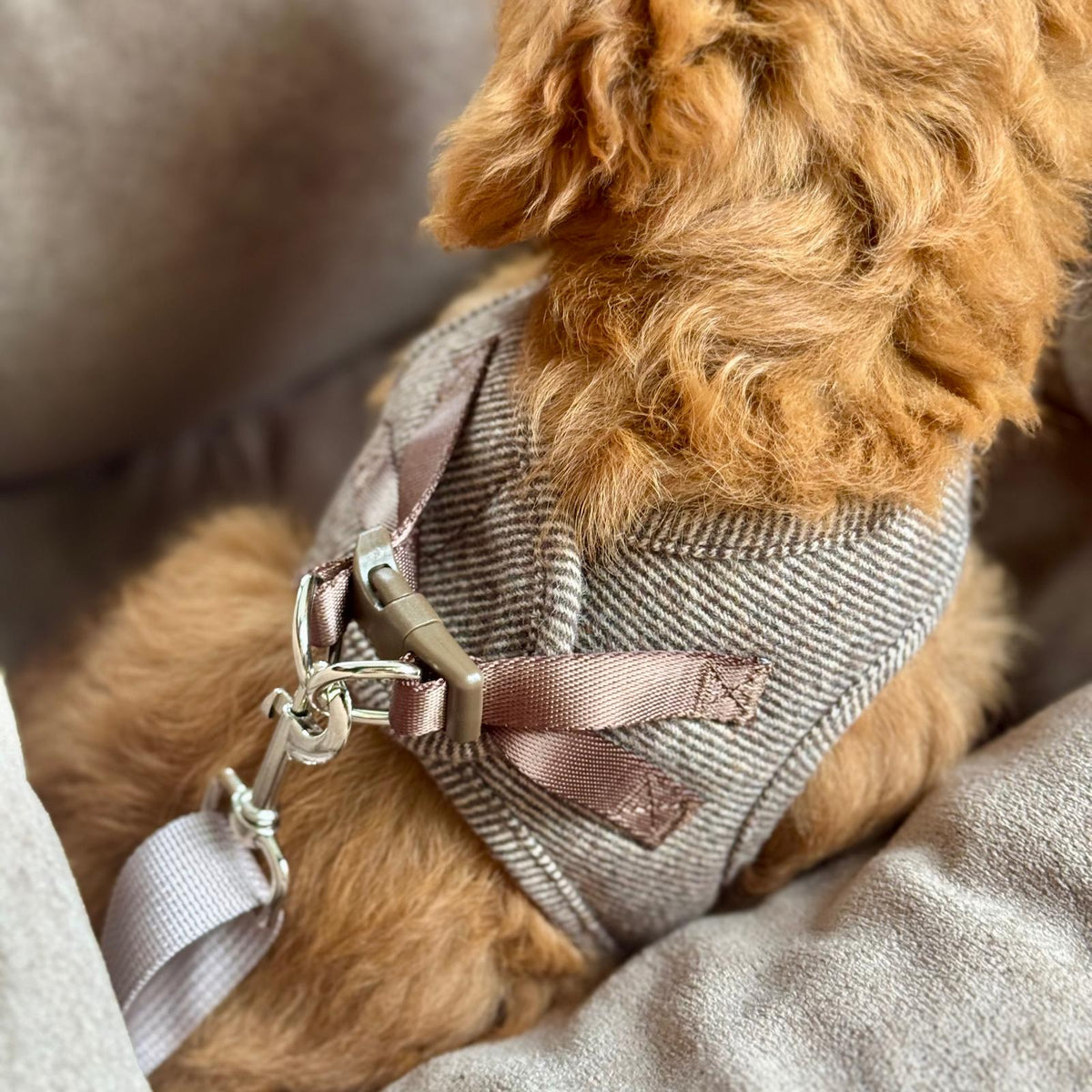 Nora kropssele i tweed