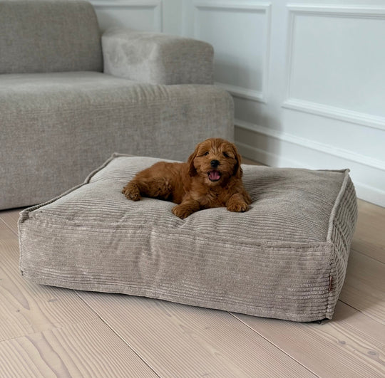 Frede hundekurven i beige - bred fløjl